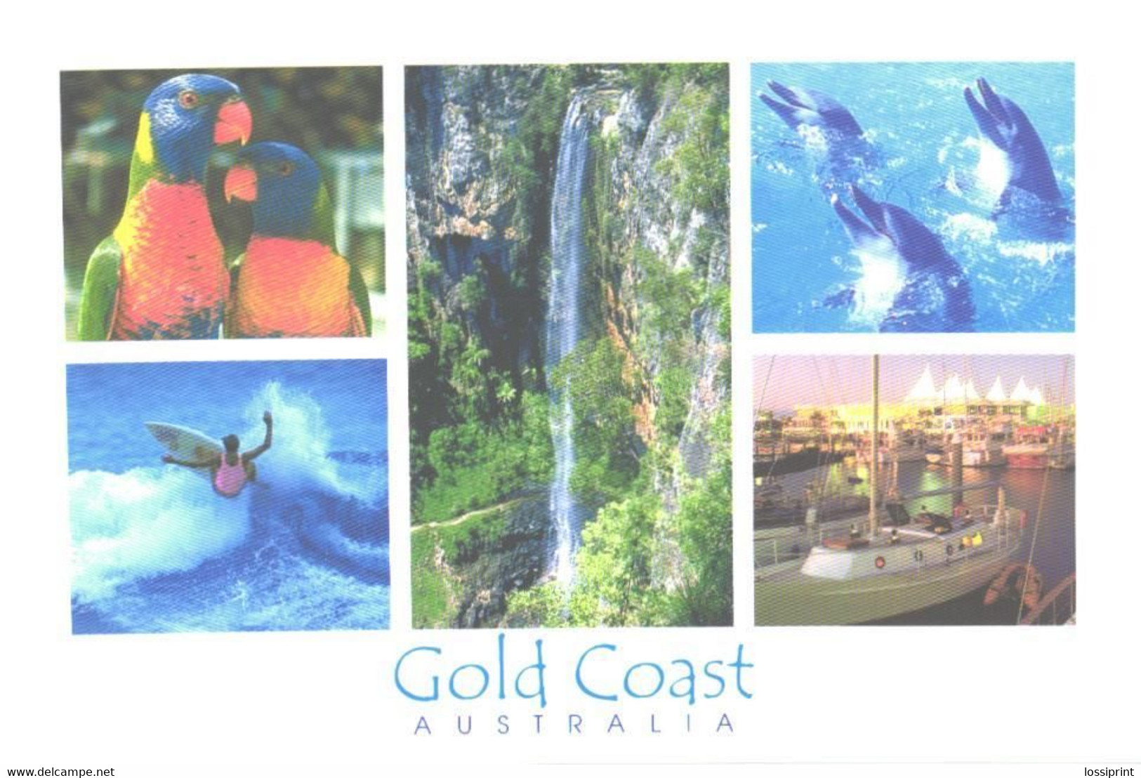 Australia:Gold Coast, Parrots, Dolphins, Waterfall, Surfar, Port - Gold Coast