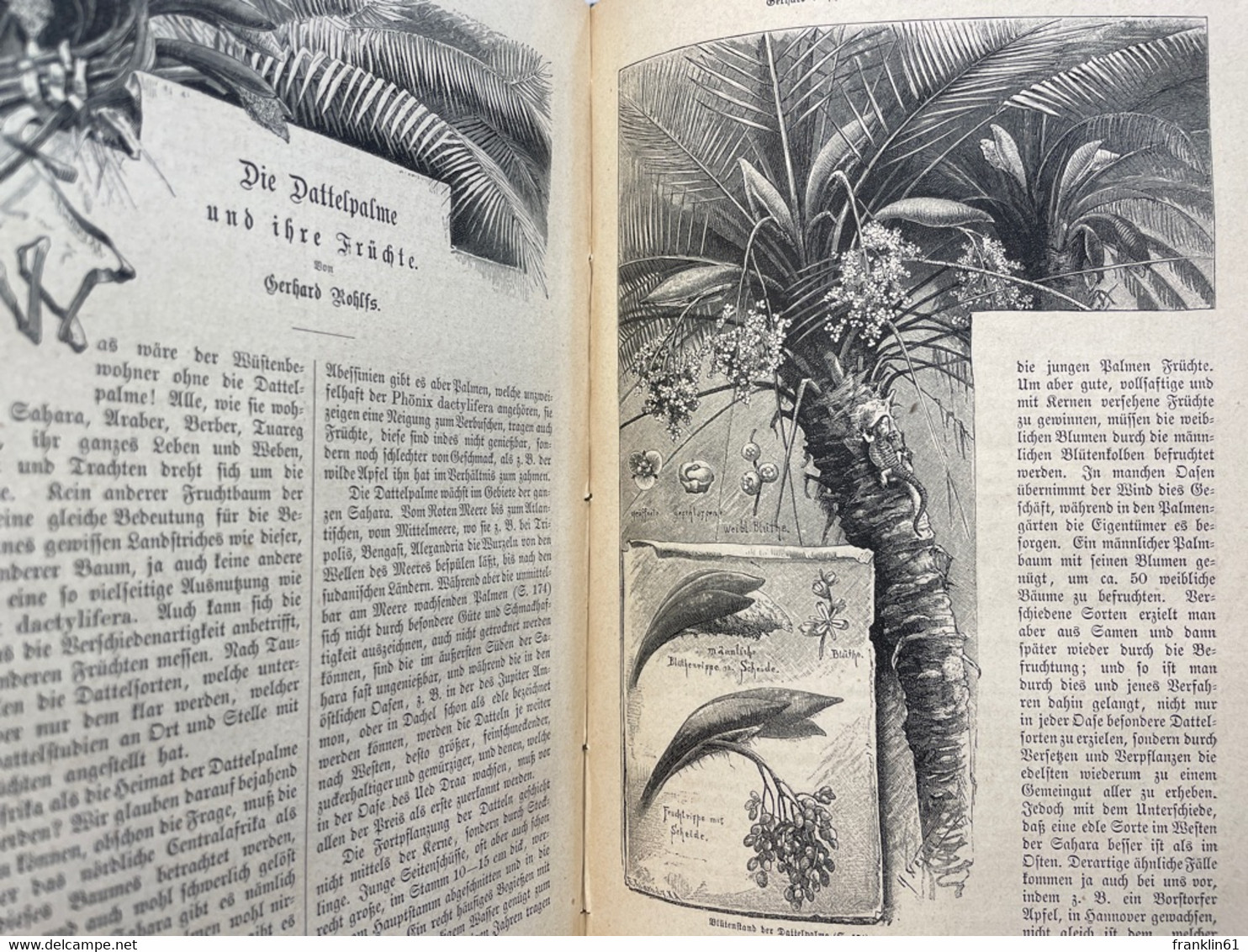 Vom Fels zum Meer. Oktober 1883 bis März 1884 in 2 Bänden gebunden.