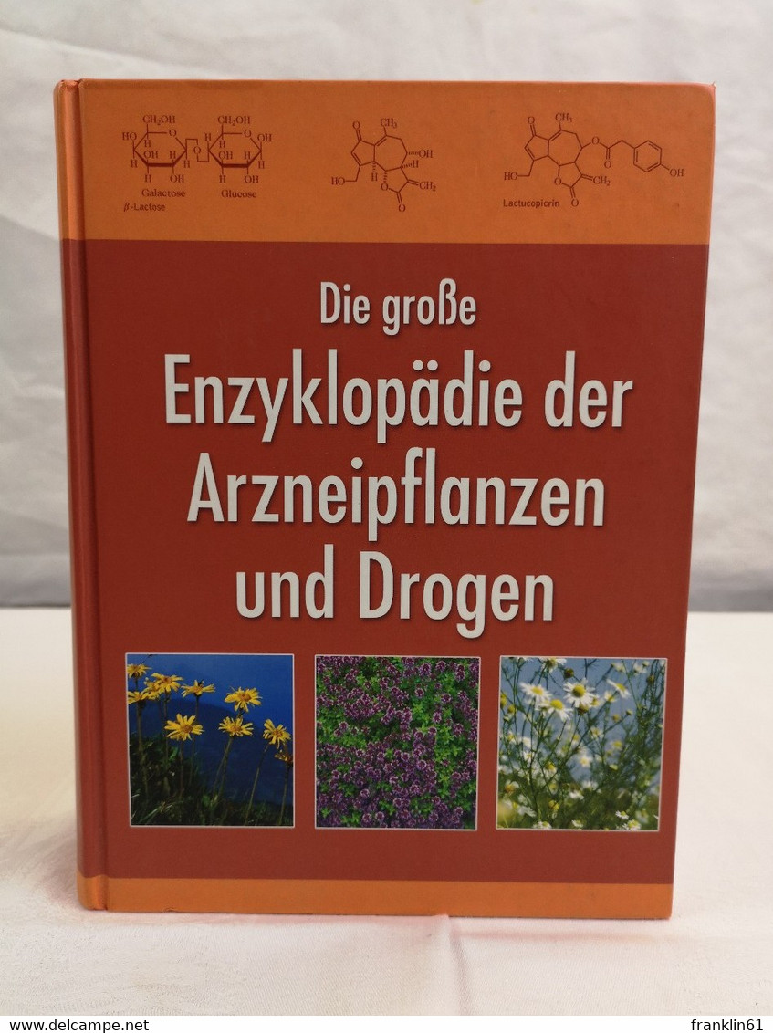 Die Große Enzyklopädie Der Arzneipflanzen Und Drogen.  1. Band. A Bis K. - Glossaries