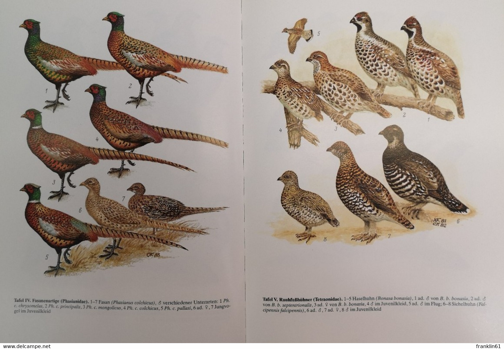 Handbuch der Vögel der Sowjetunion. Band 4. Galliformes. Gruiformes.