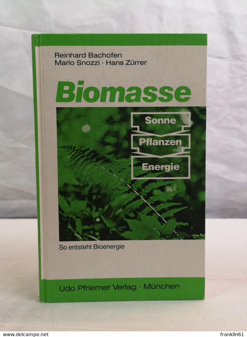 Biomasse.  So Entsteht Bioenergie. - Lessico
