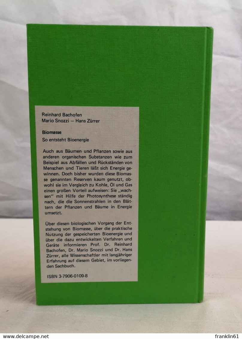 Biomasse.  So Entsteht Bioenergie. - Léxicos