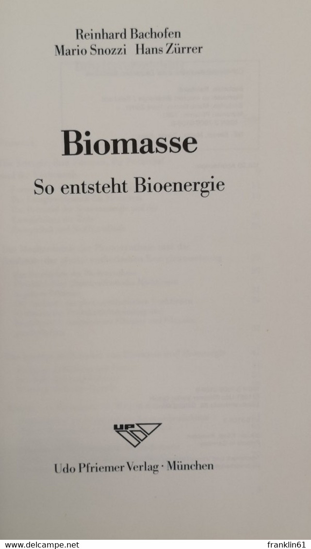 Biomasse.  So Entsteht Bioenergie. - Léxicos