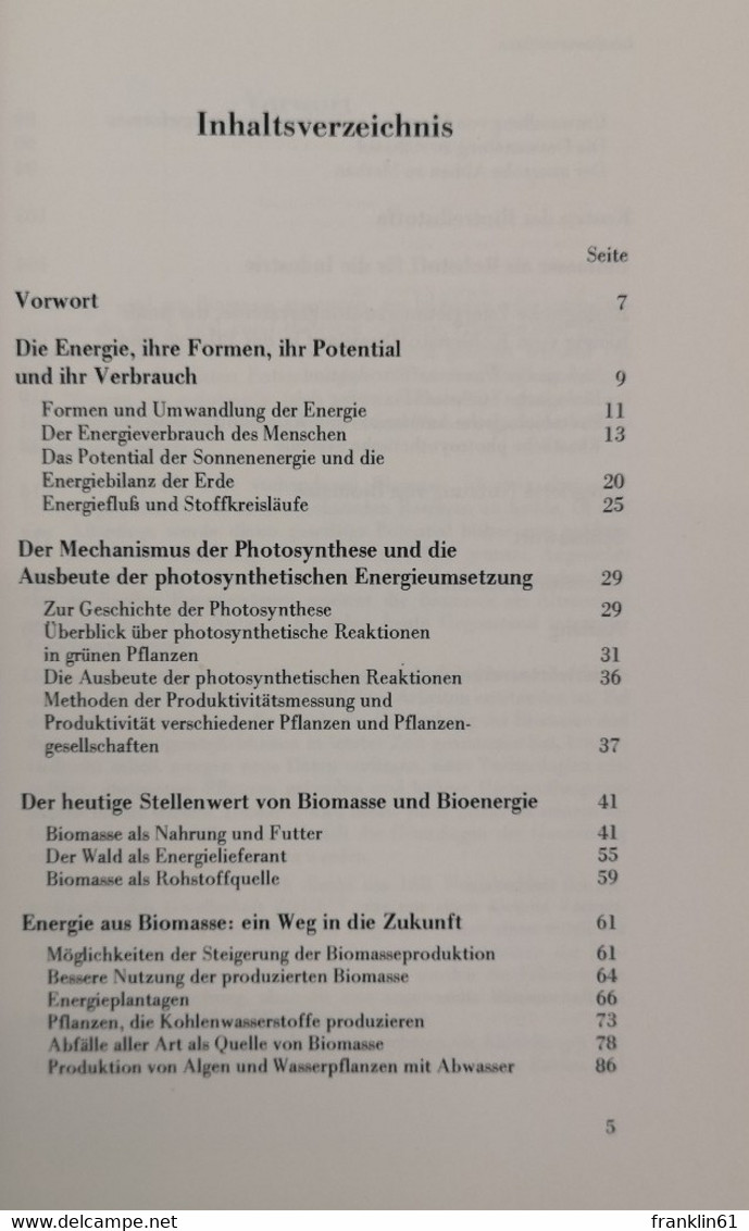 Biomasse.  So Entsteht Bioenergie. - Lessico