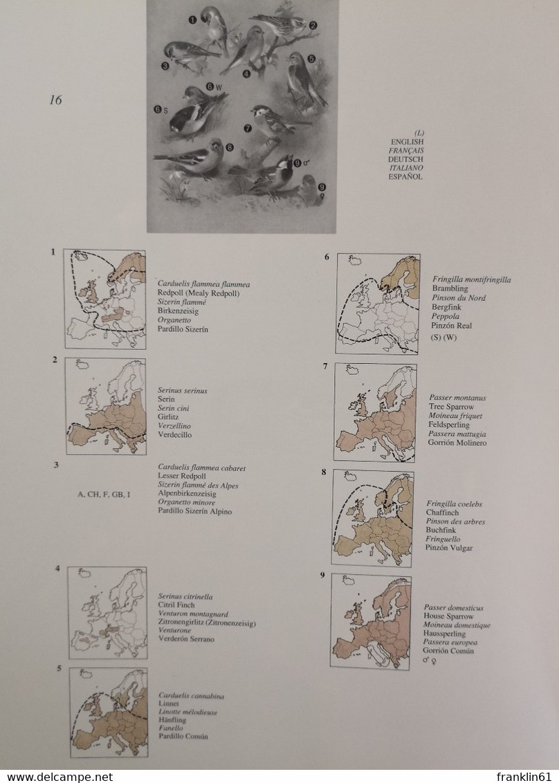 Thorburns Bilder Der Vogelwelt: Ein Verbreitungs-Atlas Der Wichtigsten Vogelarten In 6 Sprachen - Glossaries