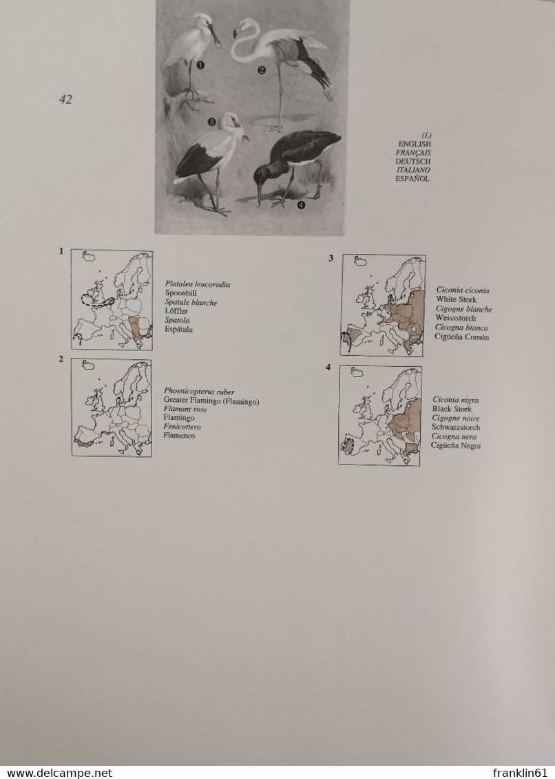 Thorburns Bilder der Vogelwelt: Ein Verbreitungs-Atlas der wichtigsten Vogelarten in 6 Sprachen