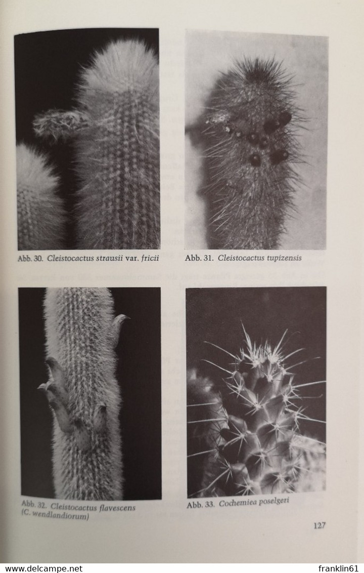 Kakteen. Einführung in die Kakteenkunde und Anleitung zu erfolgreicher Kakteenkultur.
