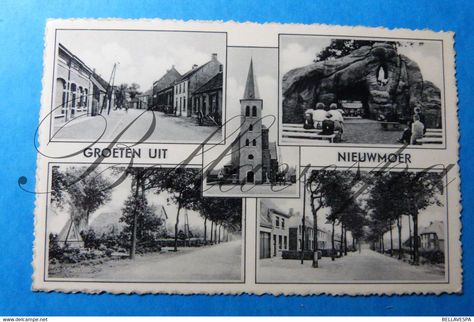 Nieuwmoer Multiview  1962 & Achterbroek - Kalmthout