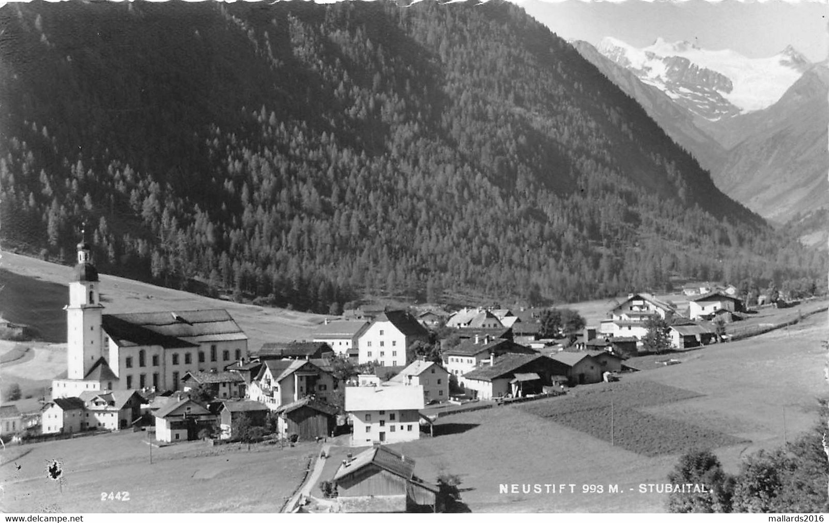 NEUSTIFT - STUBAITAL ~ AN OLD REAL PHOTO POSTCARD #223556 - Neustift Im Stubaital