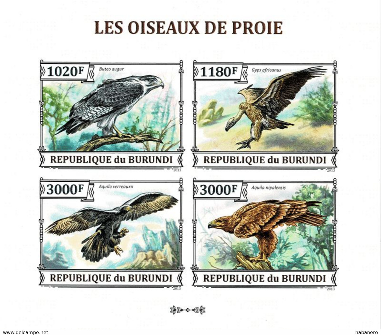 BURUNDI 2013 Mi 3243-3246B KLB BIRDS OF PREY MINT IMPERFORATED MINIATURE SHEET ** - Blocks & Sheetlets