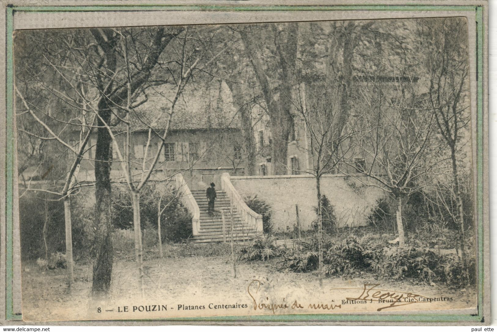 CPA - (07) Le POUZIN - Thème: ARBRE - Aspect Des Platanes Centenaires En 1903 - Le Pouzin