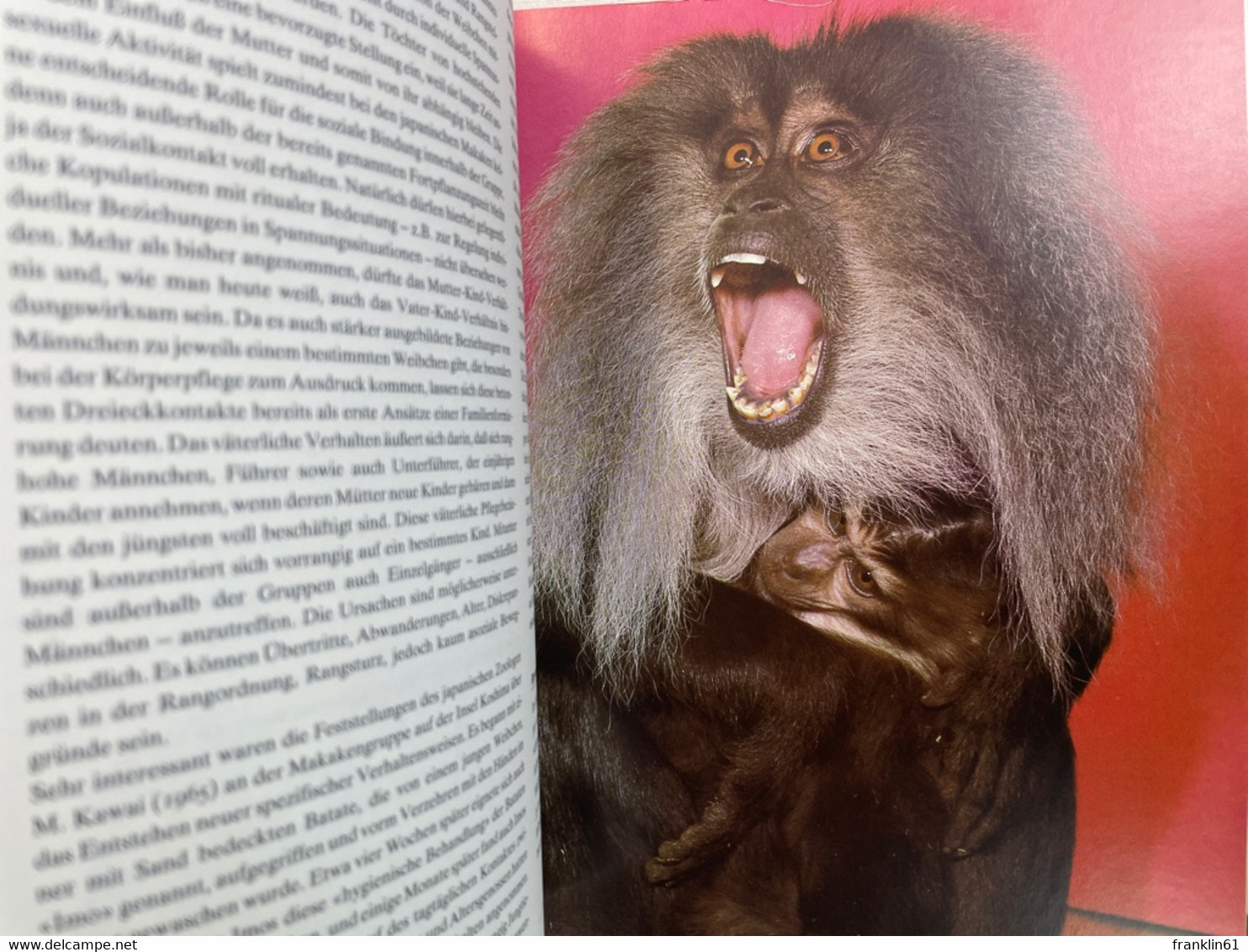 Das Grosse Affenbuch. - Animals