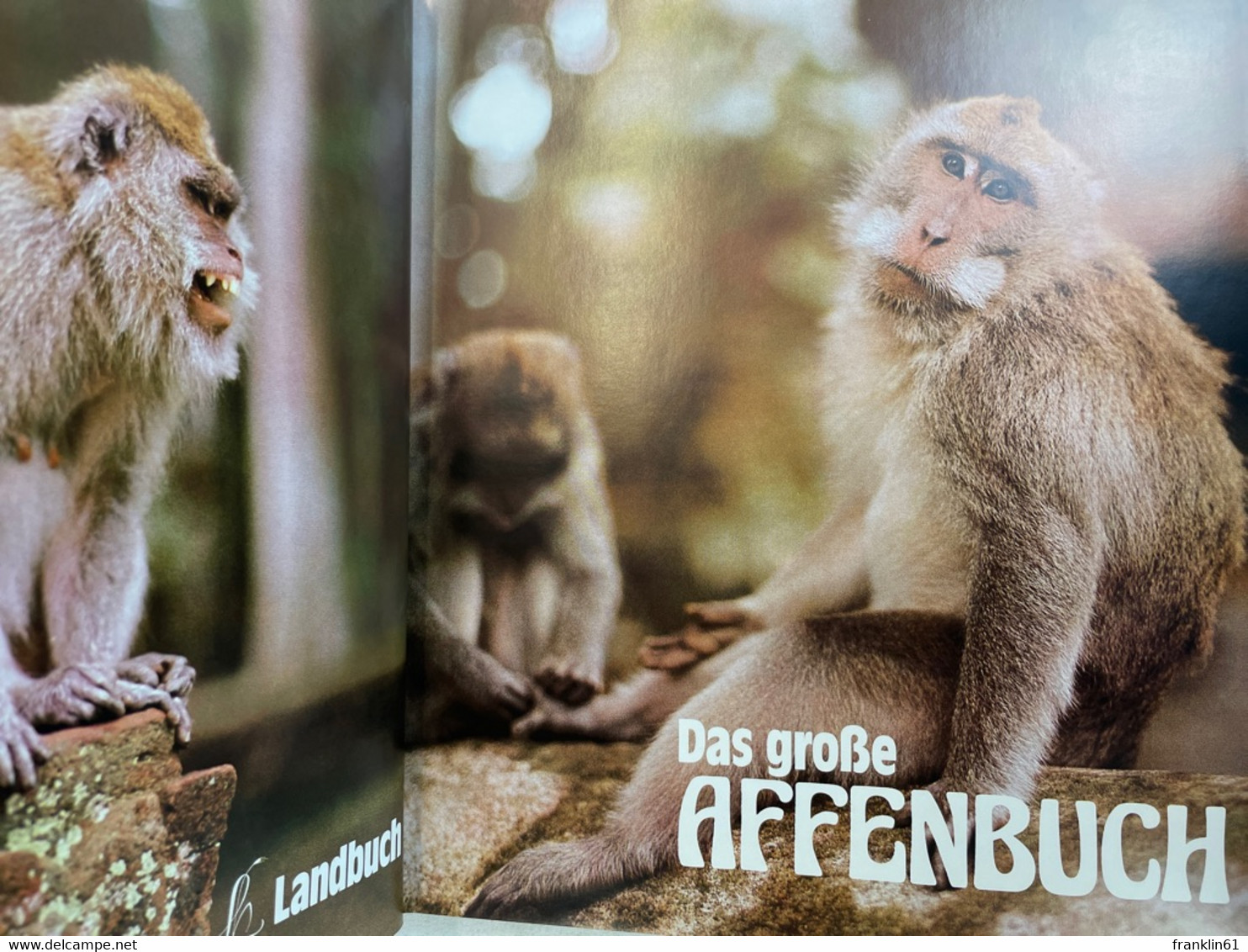 Das Grosse Affenbuch. - Animales