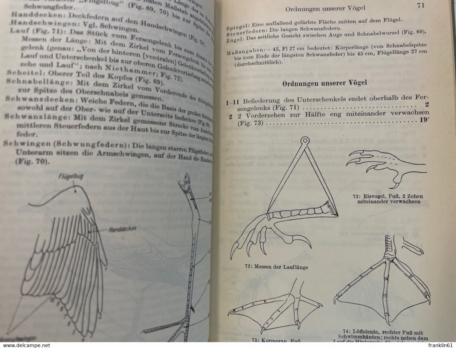 Bestimmungsbuch für deutsche Land- und Süsswassertiere; Wirbeltiere.