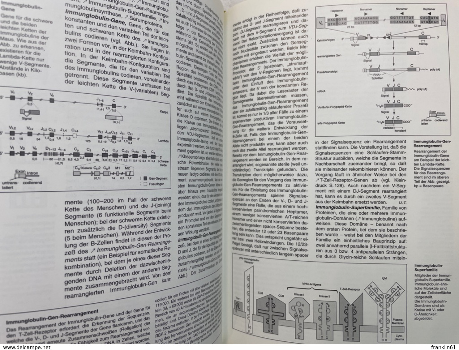 Lexikon Der Biologie. Ergänzungsband 1995. A - Z. - Tierwelt