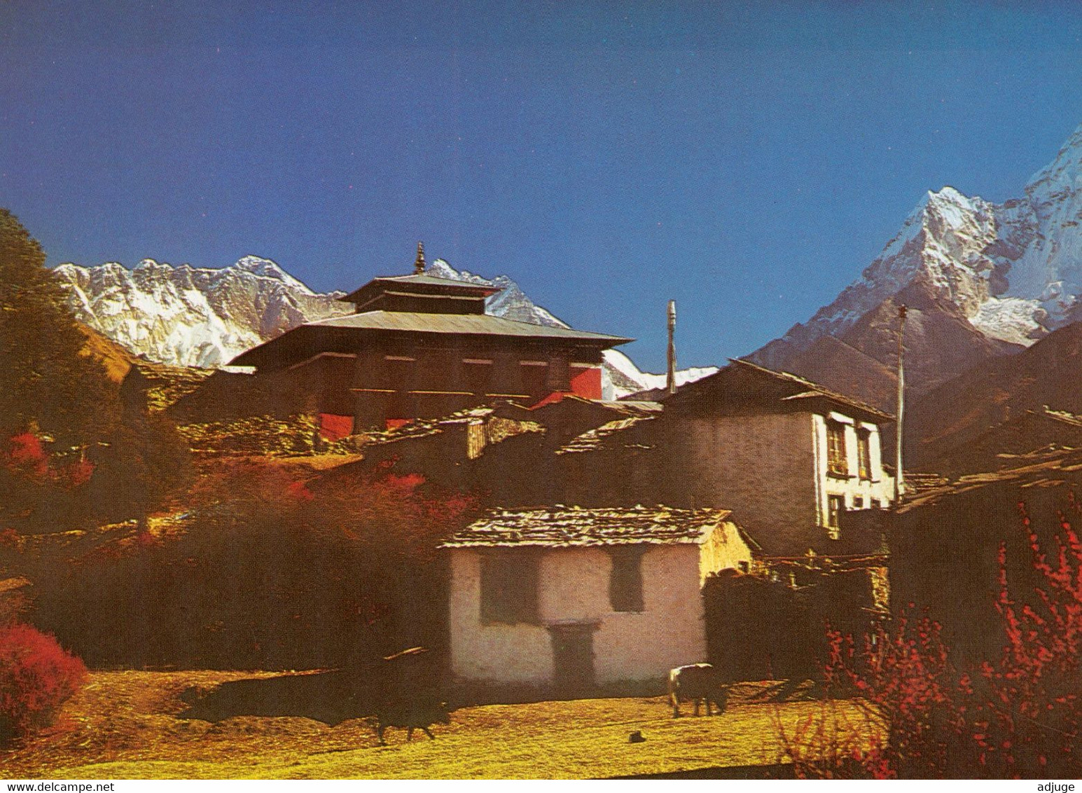 CPM- NEPAL -Thyangboche Monastry- The Montain: Nuptse,Everest, Lhots And Ama Dablam*  TBE- 2 Scan - Népal