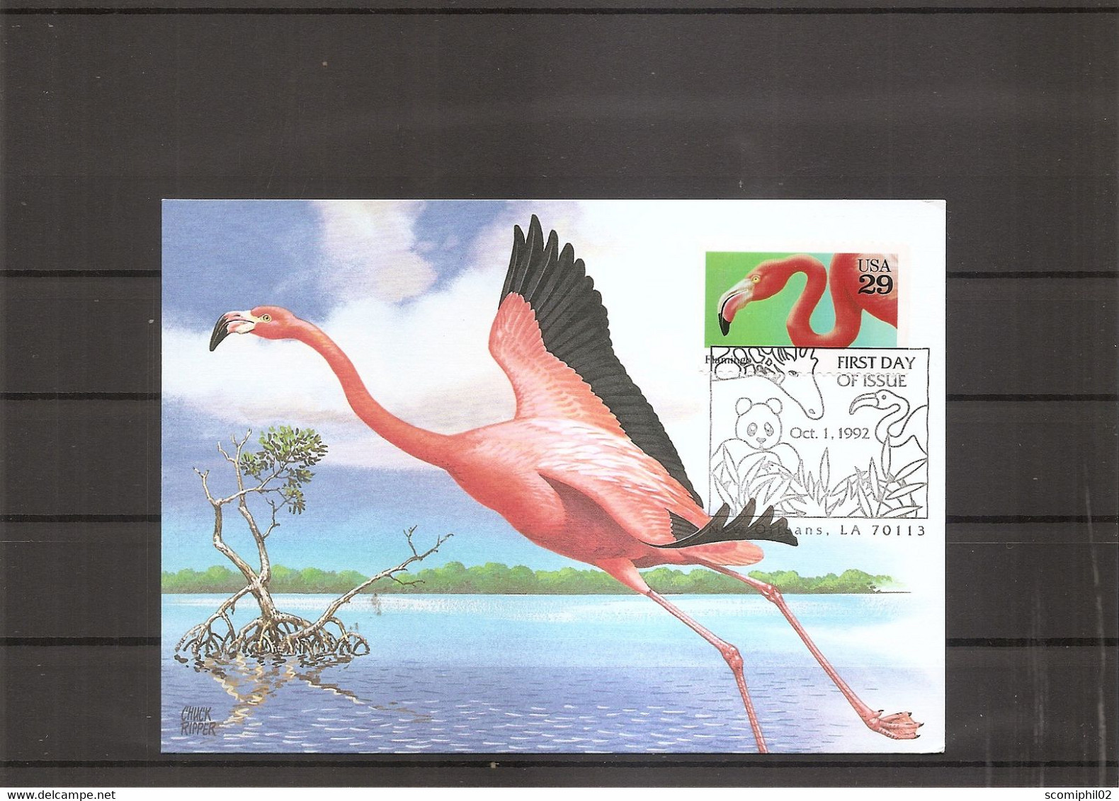Flamants ( CM Des USA De 1992 à Voir) - Flamingos