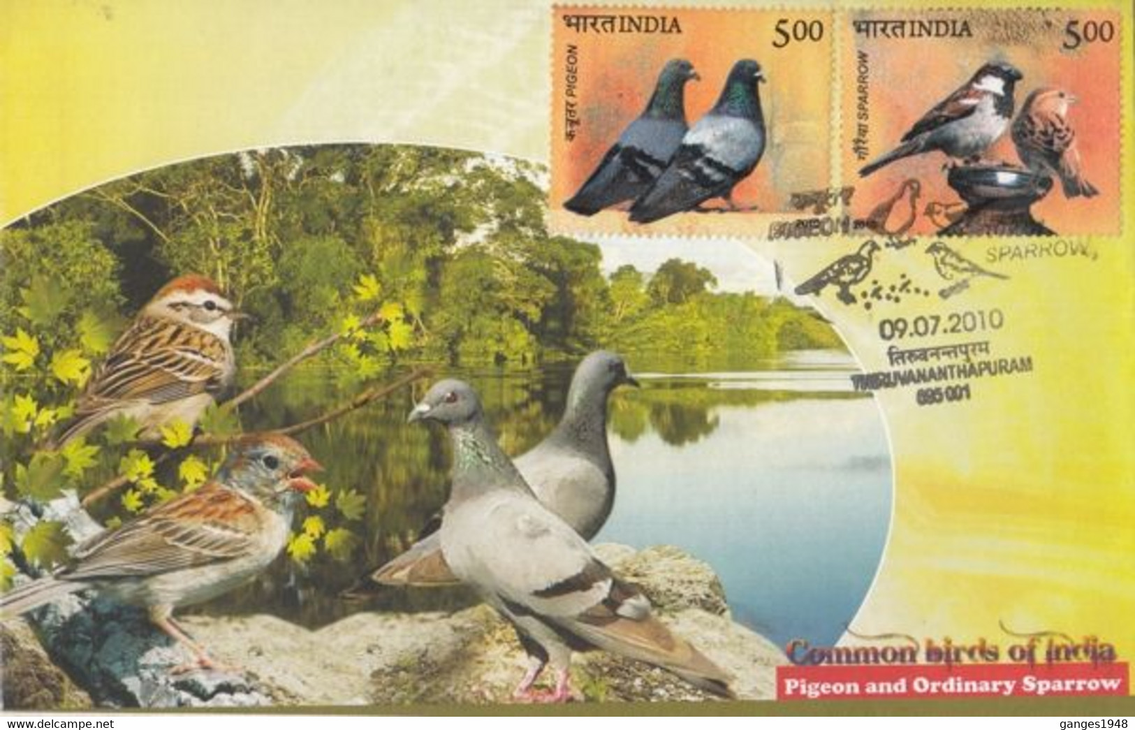 India 2010  Pegeon And Sparrow  Special Limited Edition  FDC  #  34577 D  Inde Indien - Passeri