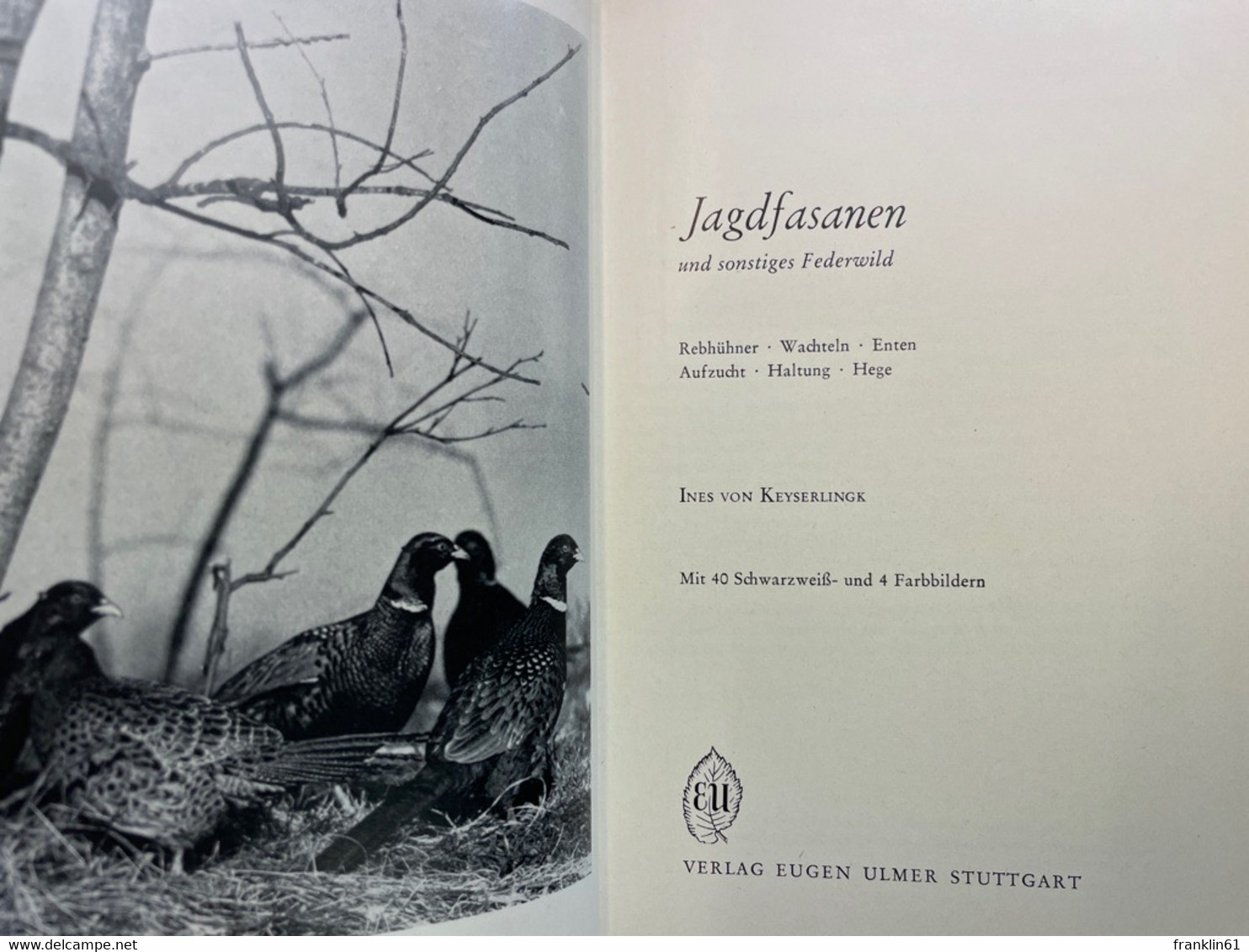 Jagdfasanen Und Sonstiges Federwild : Rebhühner, Wachteln, Enten. Aufzucht, Haltung, Hege. - Tierwelt