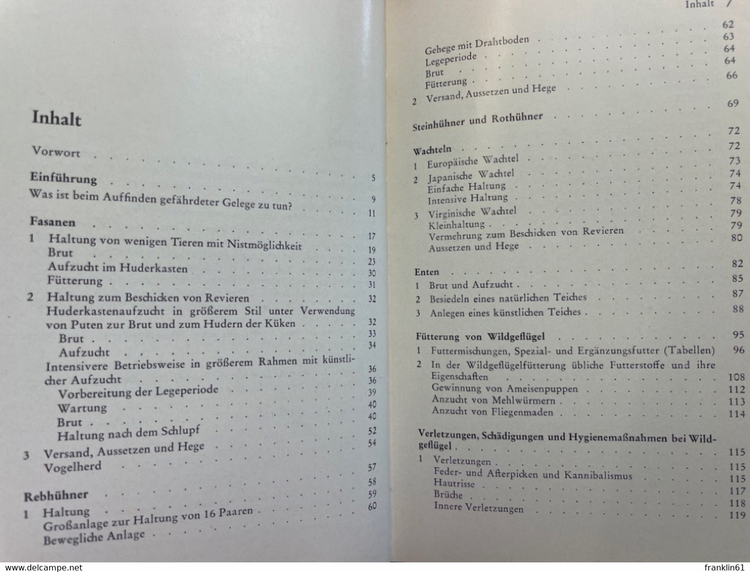 Jagdfasanen Und Sonstiges Federwild : Rebhühner, Wachteln, Enten. Aufzucht, Haltung, Hege. - Dieren