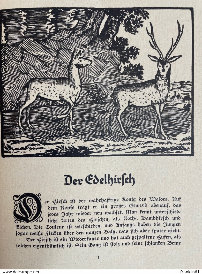 Nathurgeschichte Oder Kurtzgefaßte Lebensabrisse Der Hauptsächlichsten Wilden Thiere Im Hertzogthum Bremen. - Animales