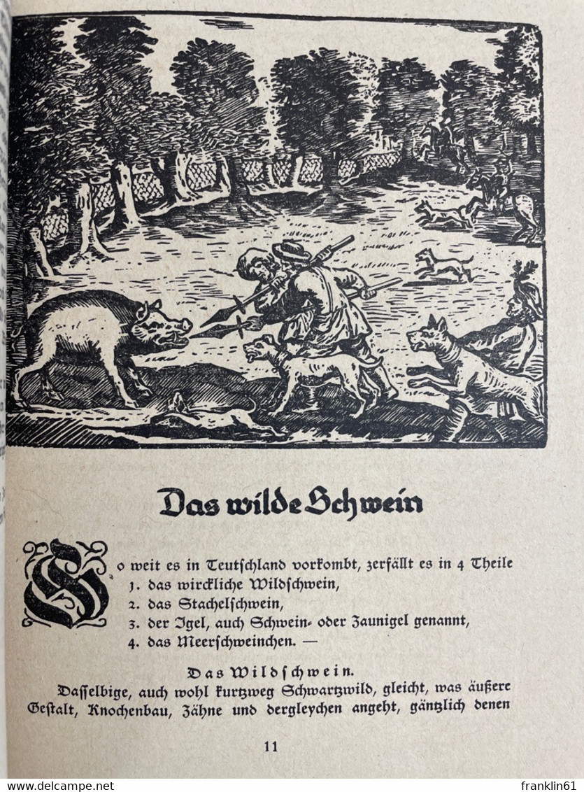 Nathurgeschichte Oder Kurtzgefaßte Lebensabrisse Der Hauptsächlichsten Wilden Thiere Im Hertzogthum Bremen. - Animals