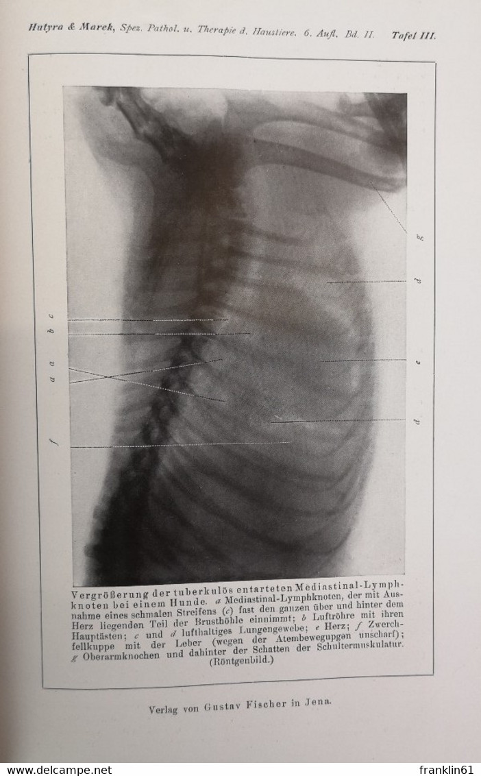 Spezielle Pathologie und Therapie der Haustiere. Zweiter Band: Krankheiten der Atmungsorgane und der Blutkreis