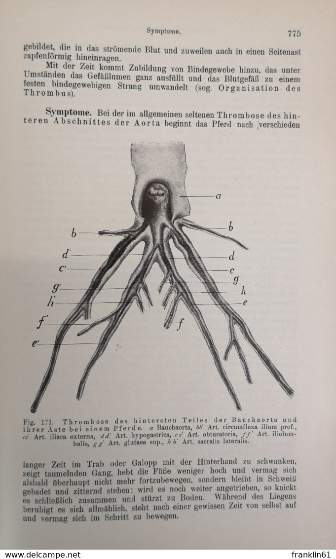 Spezielle Pathologie und Therapie der Haustiere. Zweiter Band: Krankheiten der Atmungsorgane und der Blutkreis