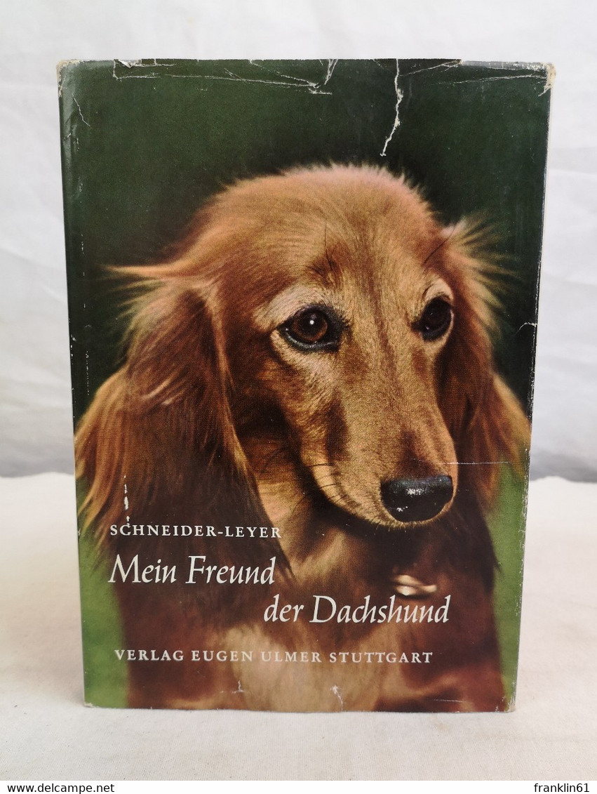 Mein Freund Der Dachshund. Ein Leitfaden Für Liebhaber, Züchter Und Jäger. - Other & Unclassified