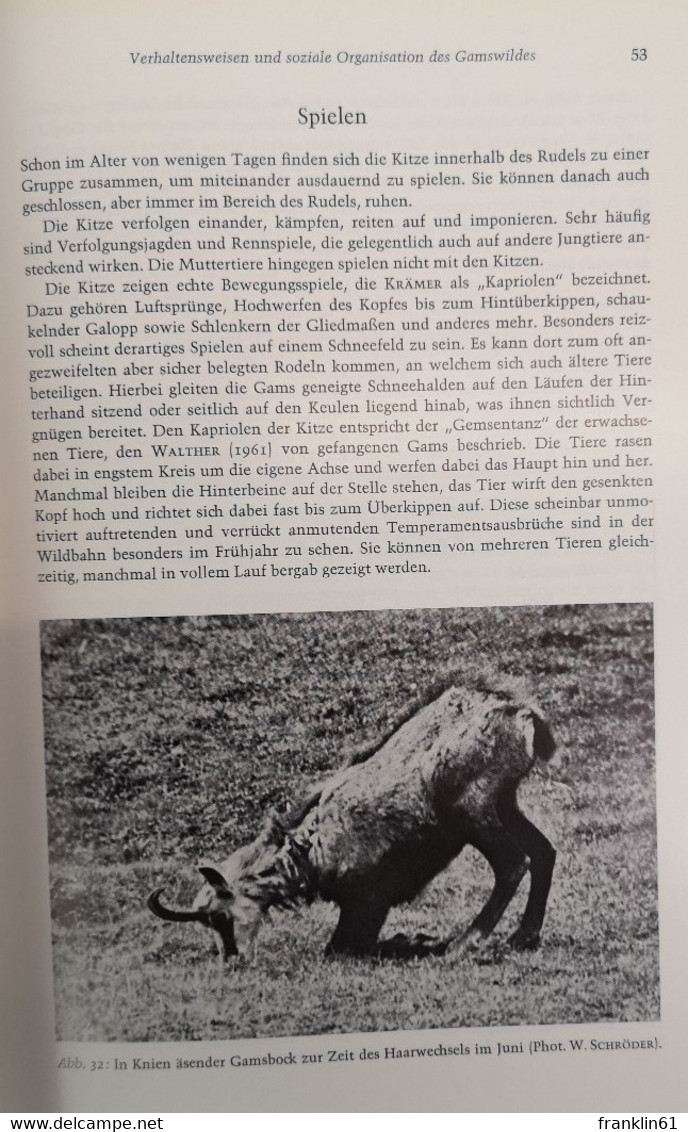 Das Gamswild. Naturgeschichte Krankheiten Hege und Jagd.