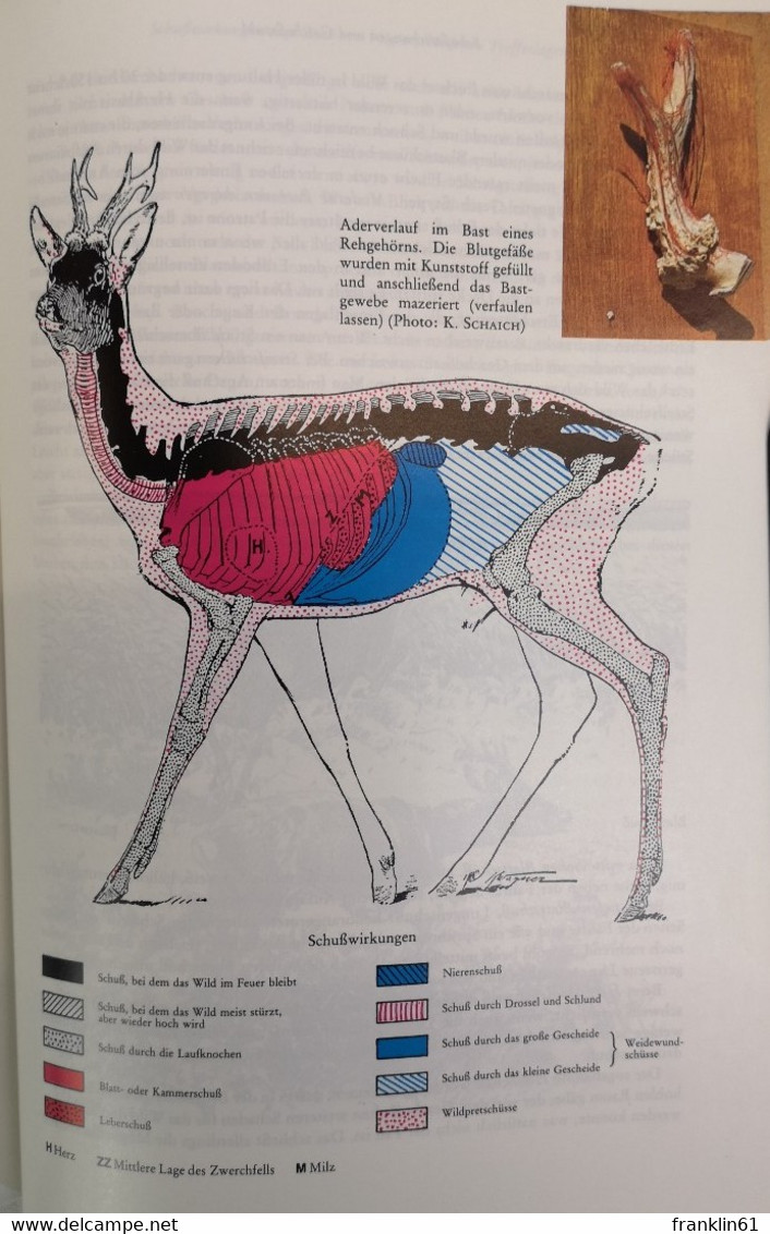 Das Rehwild. Naturgeschichte, Hege und Jagd.