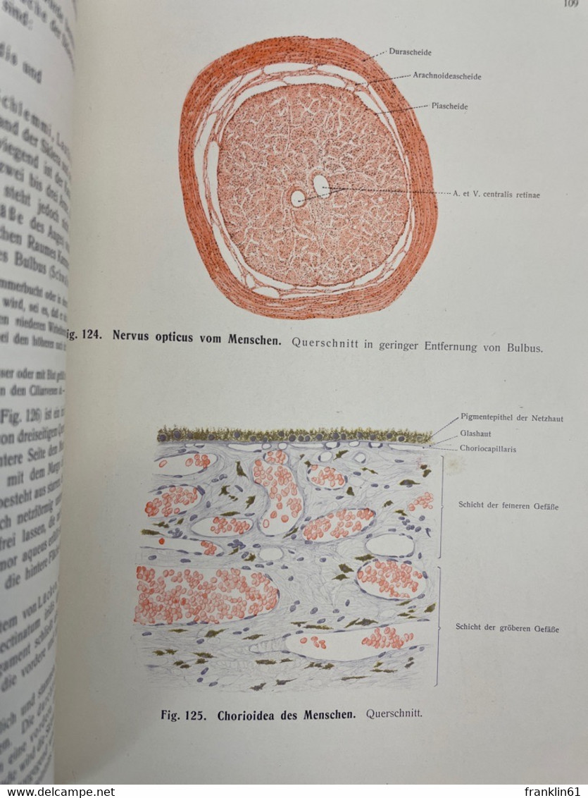 Raubers Lehrbuch der Anatomie des Menschen.  Abteilung 6: Sinnesorgane und Generalregister.