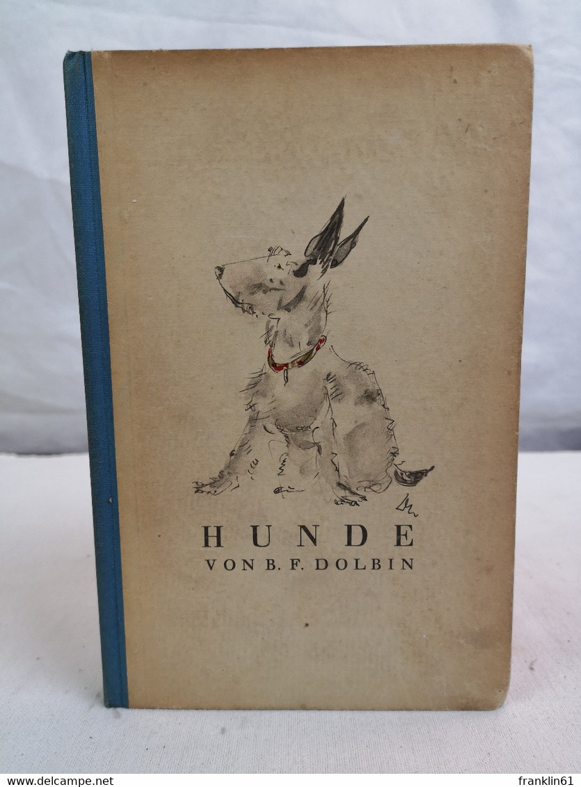 Hunde. - Tierwelt