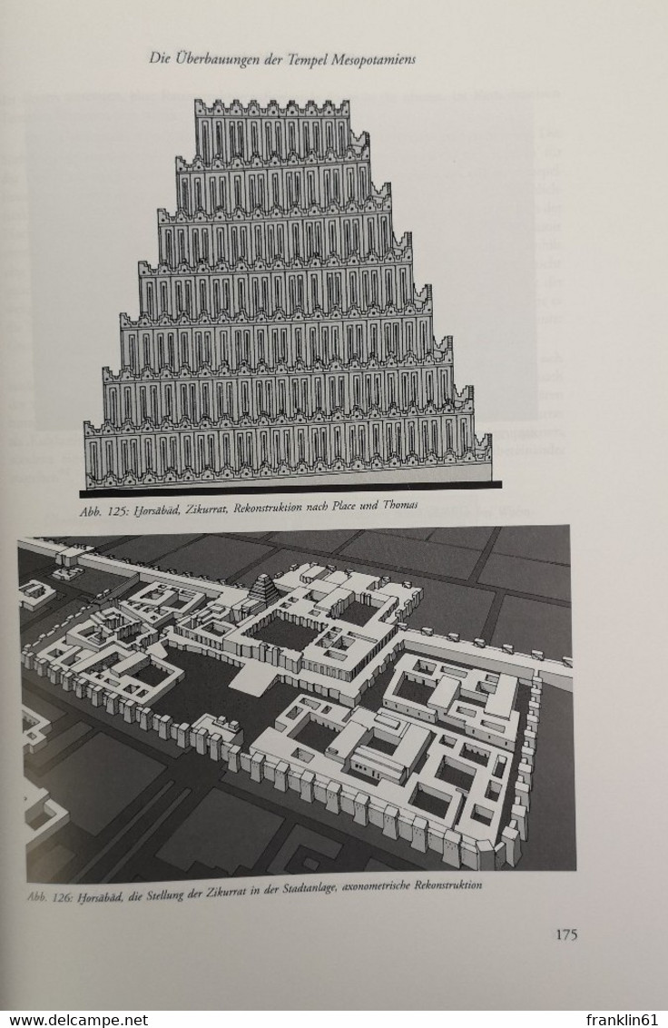 Wege der architektonischen Evolution. Die Polygenese von Pyramiden und Stufenbauten.