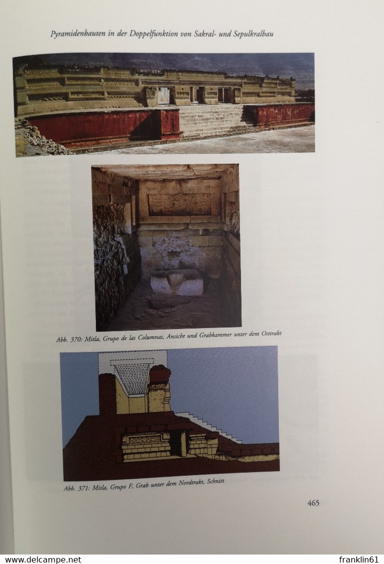 Wege der architektonischen Evolution. Die Polygenese von Pyramiden und Stufenbauten.