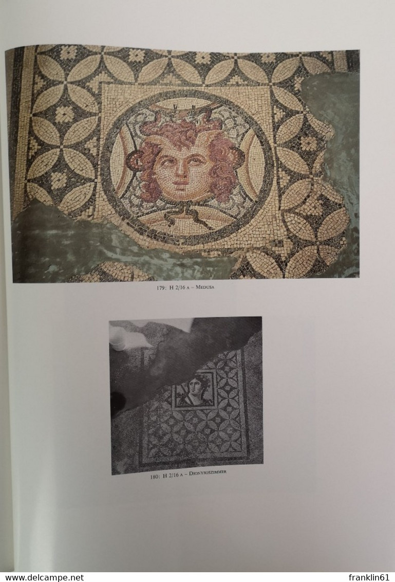 Römische Mosaiken aus Ephesos I.  Die Hanghäuser des Embolos.