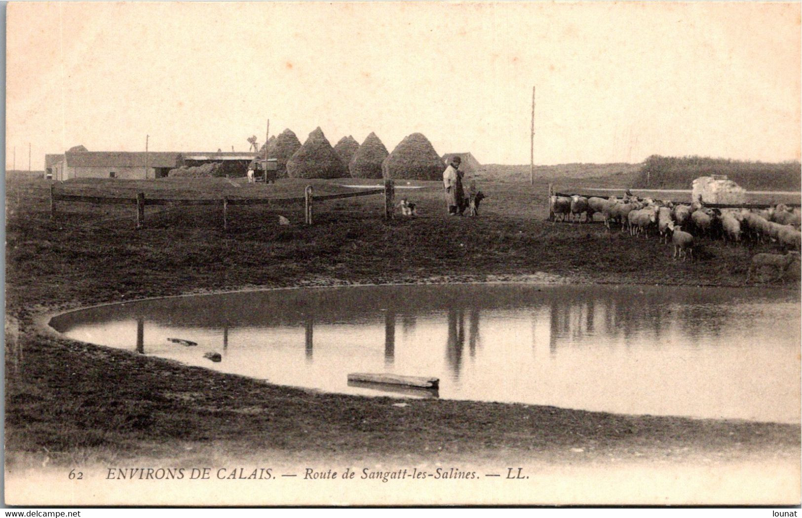 62 SANGATTE - Route De Sangatte Les Salines - Ferme - Agriculture - Sangatte