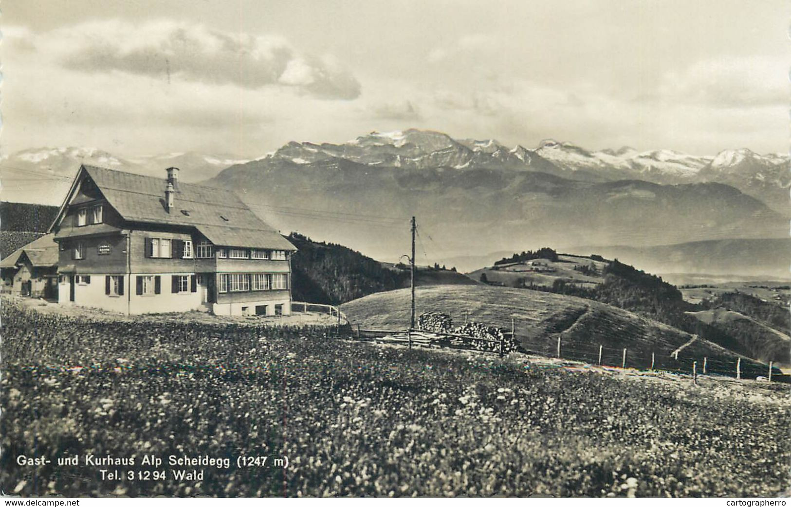 Wald Kurhaus Alp Schedegg - Egg