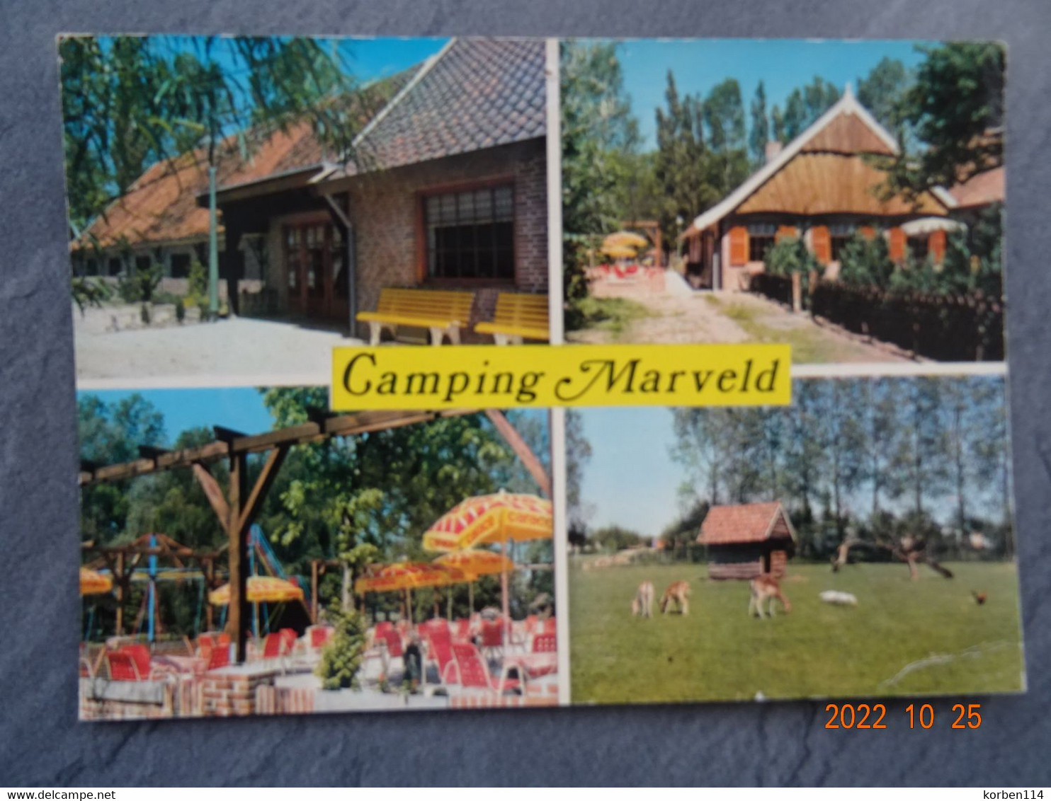 CAMPING FARM     "  MARVELD  " - Groenlo