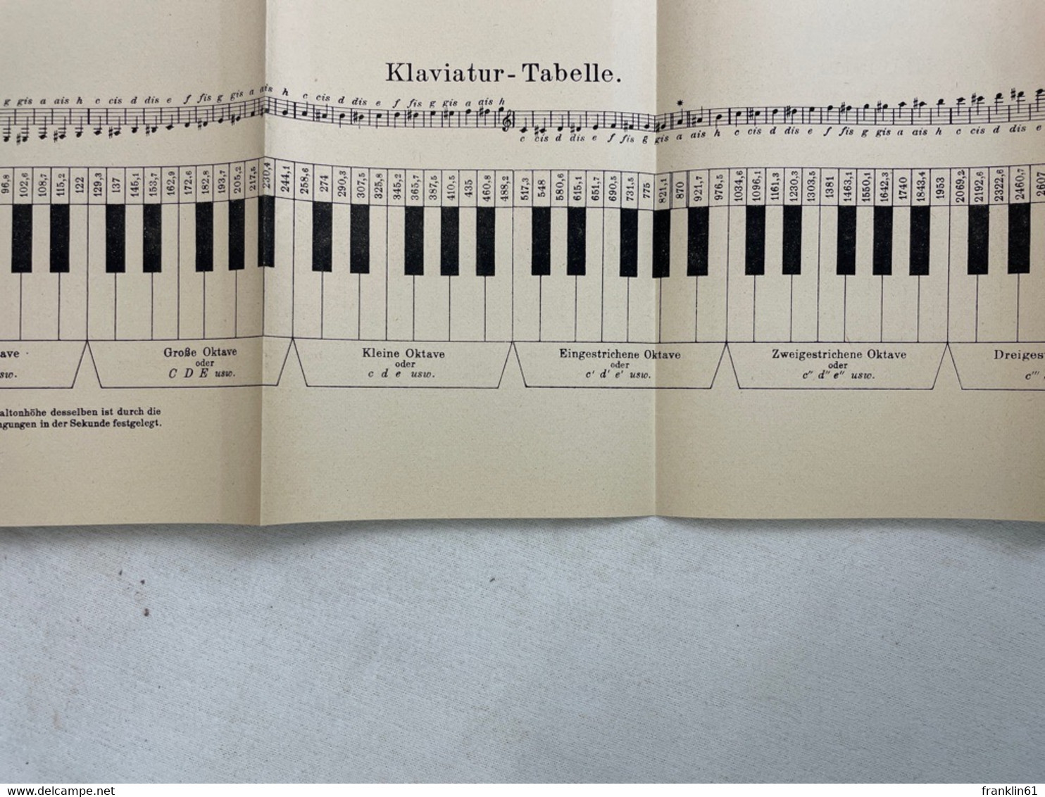 Musik-Instrumentenkunde In Wort Und Bild In 3 Teilen. I. Teil: Saiteninstrumente. - Musik