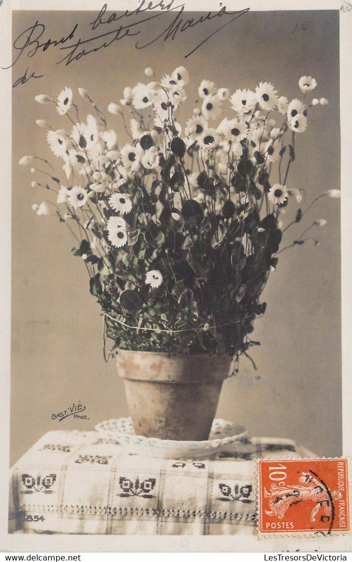 CPA FLEURS - Une Plante Pomponette Blanche Sur Une Table - Fleurs