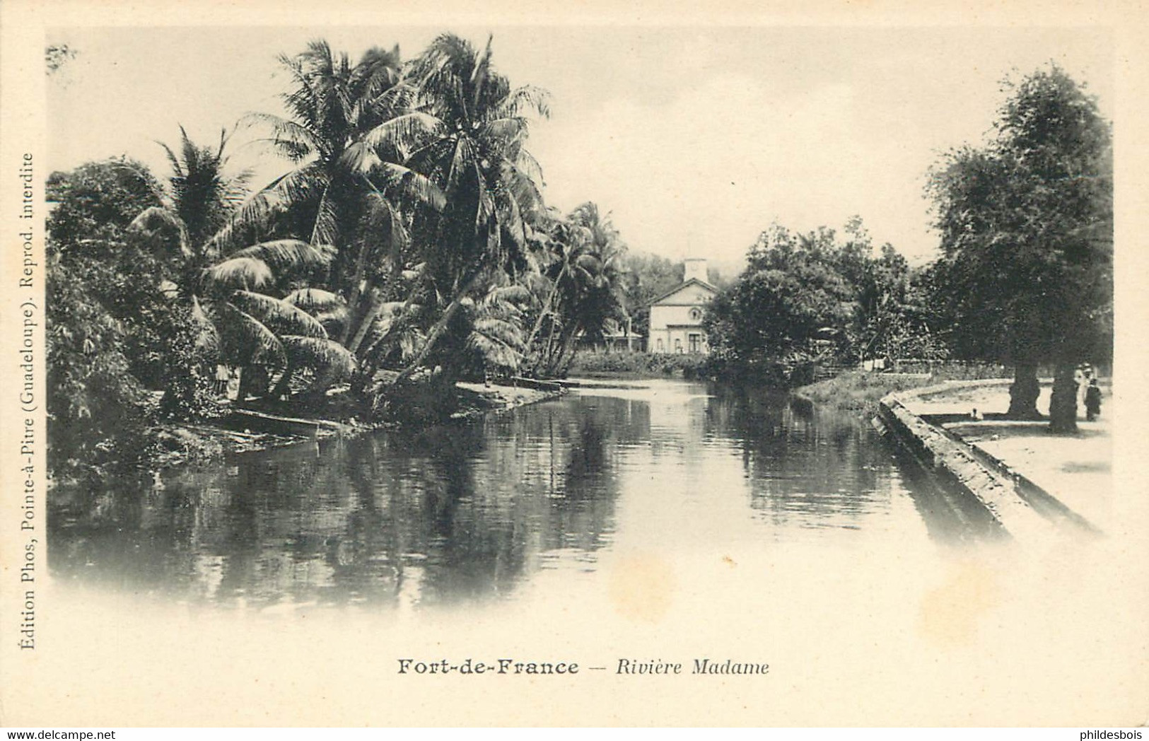 MARTINIQUE  FORT DE FRANCE  Riviere Madame  (Edit Phos Pointe A Pitre ) - Fort De France