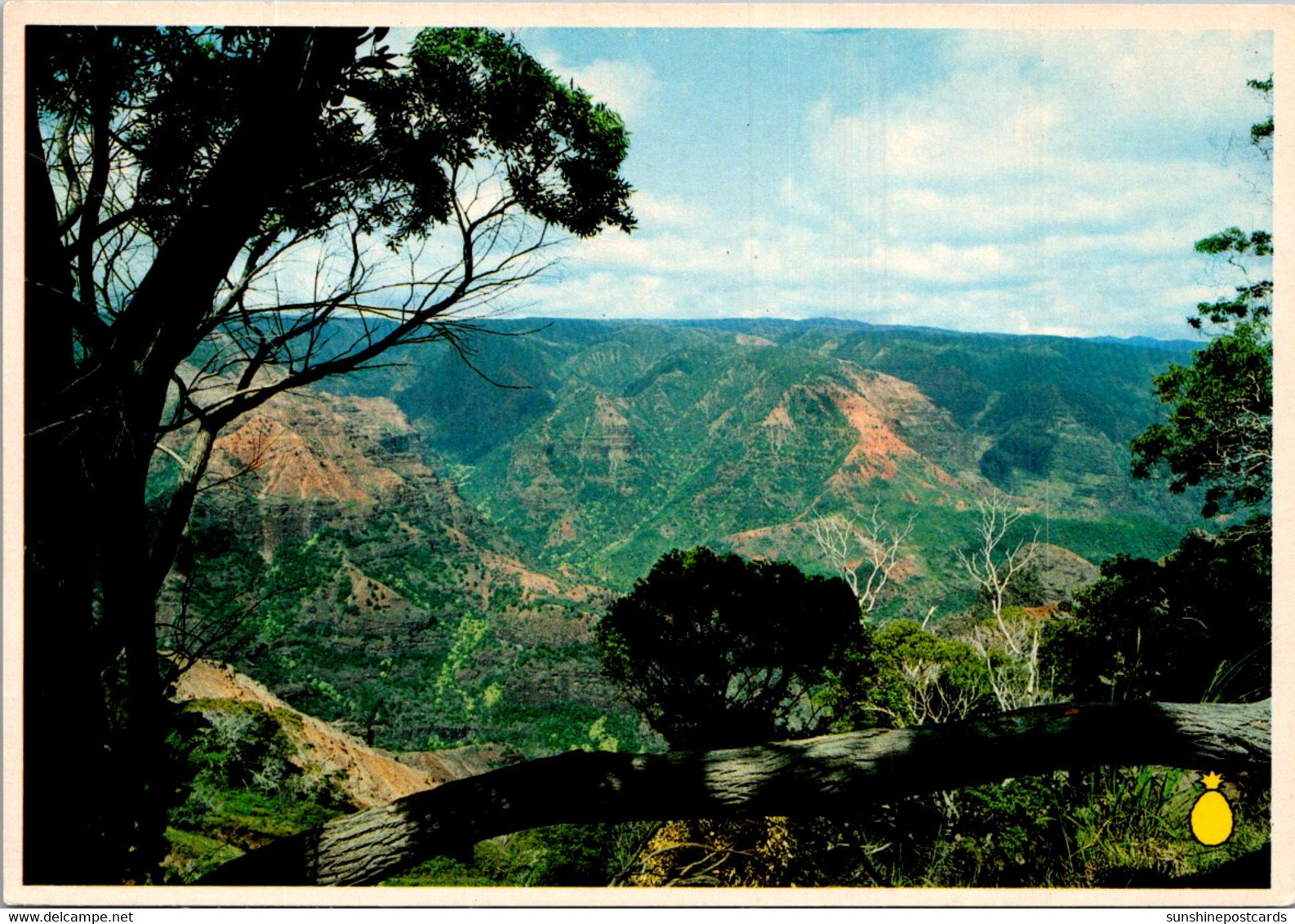 Hawaii Kauai Waimea Canyon - Kauai