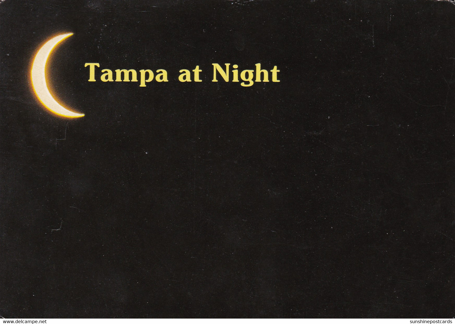 Florida Tampa At Night - Tampa