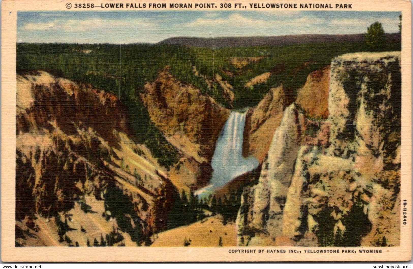 Yellowstone National Park Lower Falls From Moran Point Curteich - USA Nationale Parken