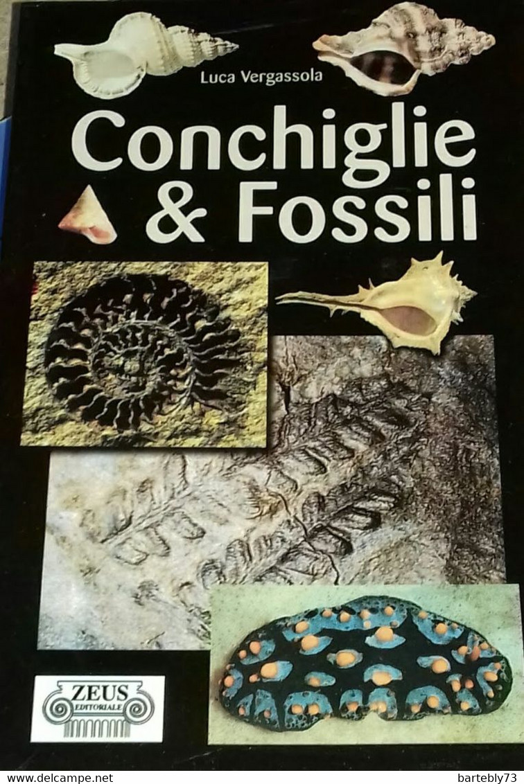 "Conchiglie & Fossili" Di Luca Vergassola - Medecine, Biology, Chemistry