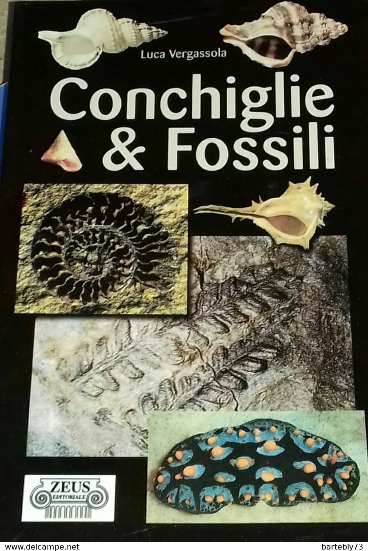 "Conchiglie & Fossili" Di Luca Vergassola - Geneeskunde, Biologie, Chemie
