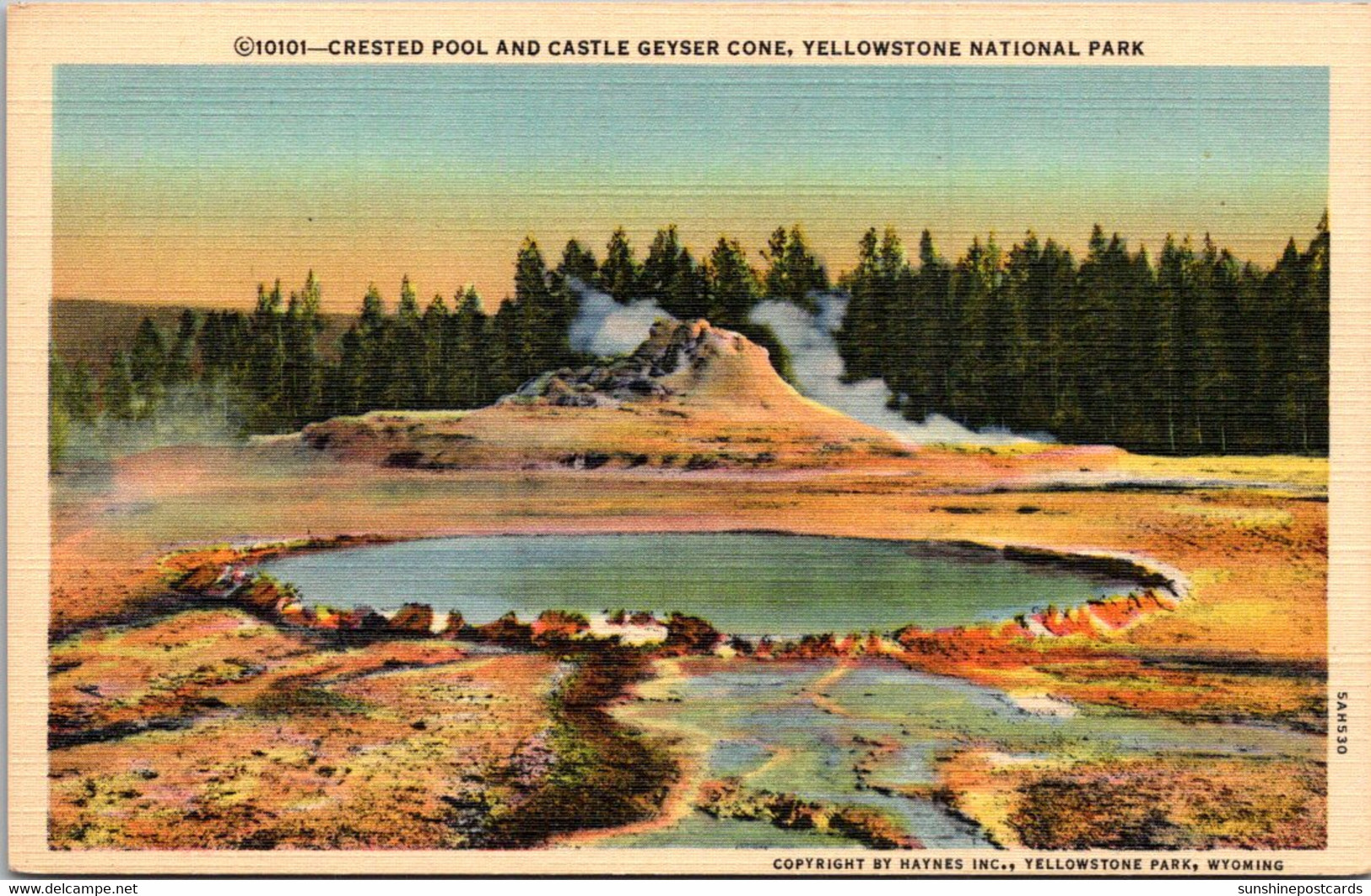 Yellowstone National Park Crested Pool And Castle Geyser Cone Curteich - Parques Nacionales USA