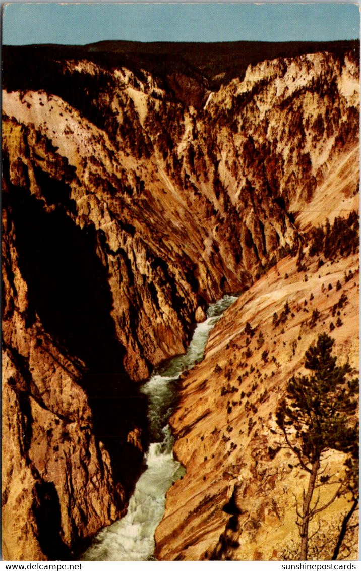 Yellowstone National Park Grand Canyon Of The Yellowstone From Inspiration Point - Parques Nacionales USA