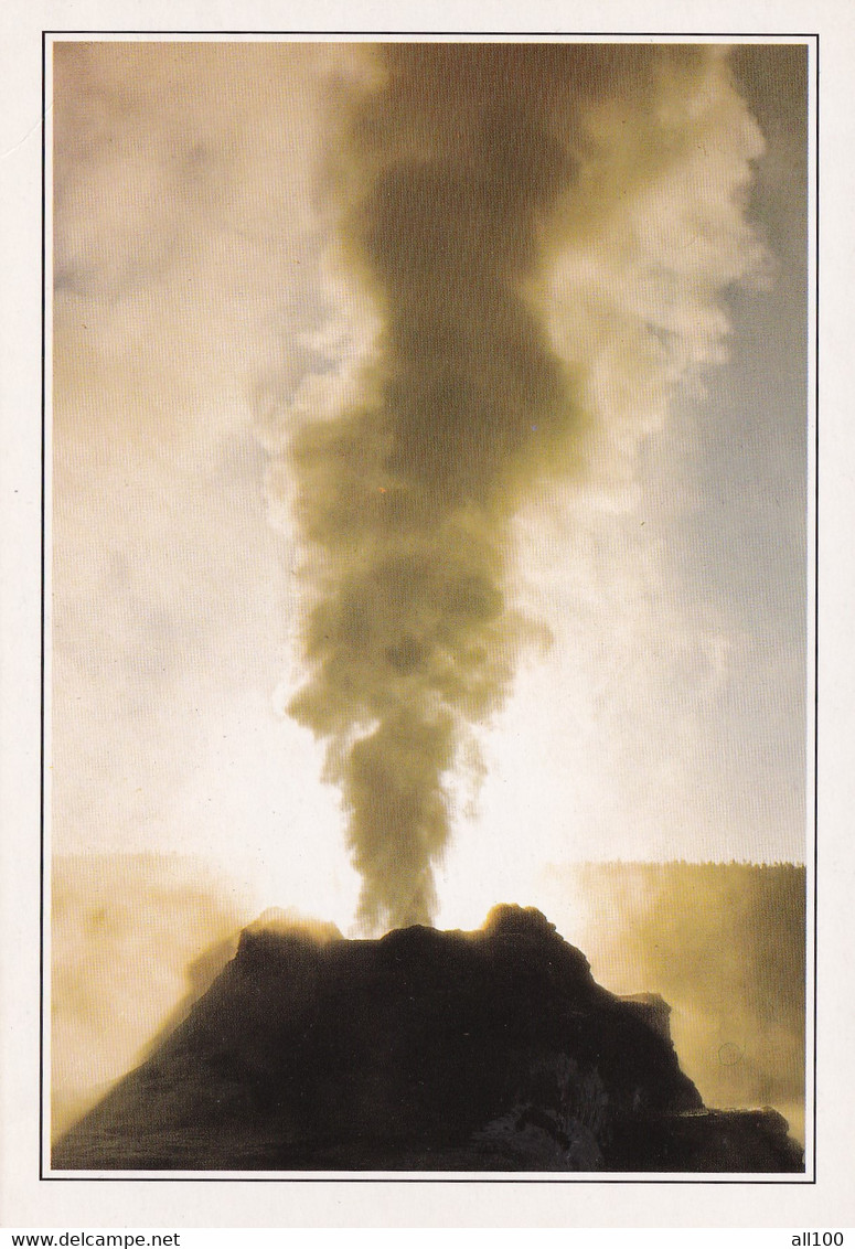 A20341 - YELLOWSTONE NATIONAL PARK CASTLE GEYSER LE GEYSER CASTLE USA UNITED STATES OF AMERICA - Yellowstone